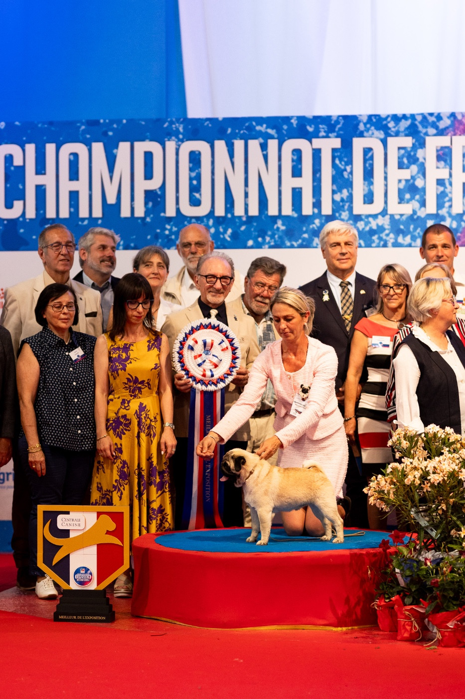 Jch As de coeur  Du Domaine De Paladine